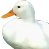 VertigoCool