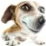 Wicik
