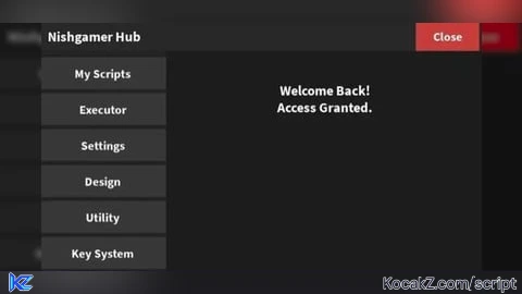 Nishgamerr hub v81 - Verified script for Universal Script