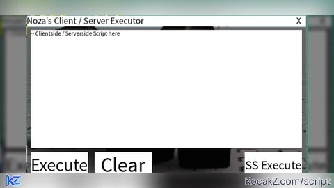 Nozas backdoor executor - Verified script for Universal Script