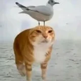 asdjkasdjk