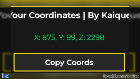 Player Coordinates - Verified script for Universal Script