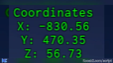 coordinates viewer - Verified script for Universal Script