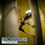 Backrooms Company