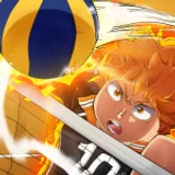 Volleyball Ascended