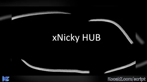 xNicky HUB  Aimbot  ESP  Fly  TP  Walkspeed  Noclip - Verified script for Universal Script