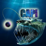 Capi76