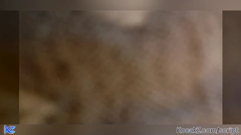 meme sound update - Verified script for Universal Script
