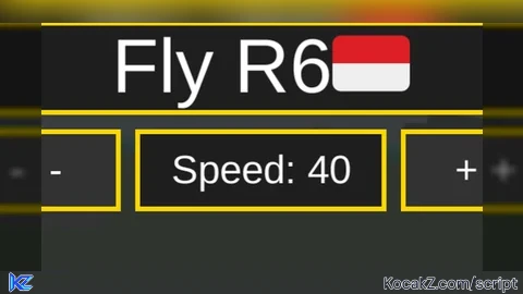 Fly R6 Invicible - Verified script for Universal Script