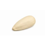🌱 Be A Seed?