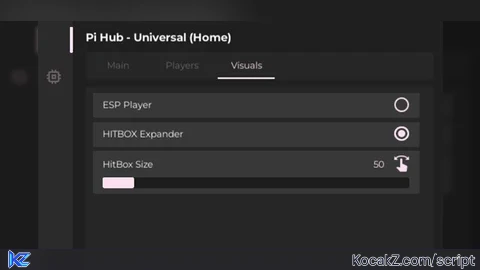 PI HUB UNIVERSAL - Verified script for Universal Script