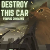 CAT DEFENSE