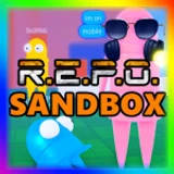 REPO SANDBOX
