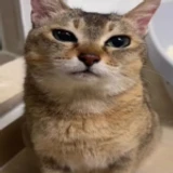 [ Content Deleted ] icon