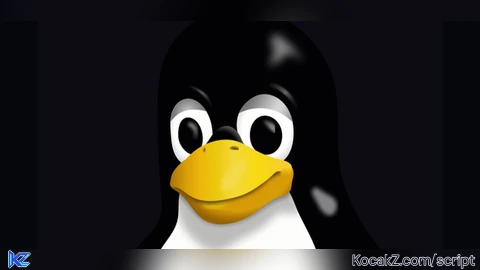 4izik and KROPKA602856 team executor - Verified script for Universal Script