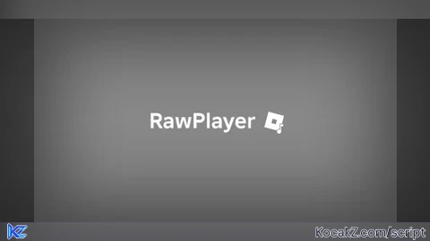 RawPlayer - Verified script for Universal Script