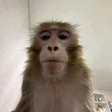 Ruko764