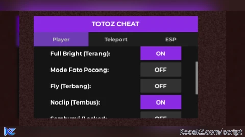 TOTOZ CHEAT