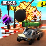 Brace
