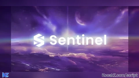 Sentinel Best Script - Verified script for Counter Blox