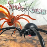 Spider Clan 🕷️