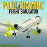 Pilot Training Flight Simulator