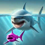 Be a Shark🦈