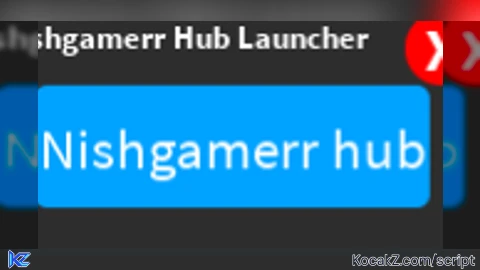 Nishgamerr loader - Verified script for Universal Script