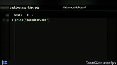 Backdoor.exe - Verified script for Universal Script