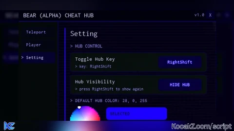 Cheat hub