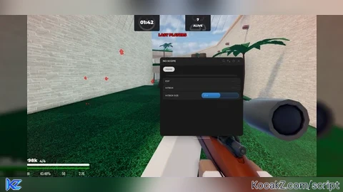 ESP HITBOX