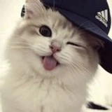 yazan1_2_3