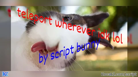 Teleport XYZ - Verified script for Universal Script