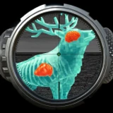 Gone Hunting