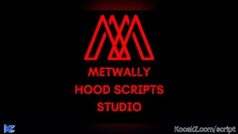 METWALLY hood script - Verified script for Universal Script