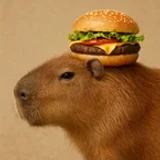 MiniCapy