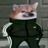 junindomorroofc