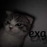 exg45