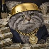 DubstepNamaz1337