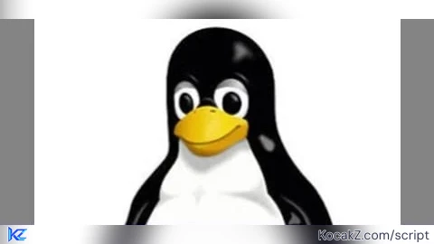EXBooster FPS booster - Verified script for Universal Script