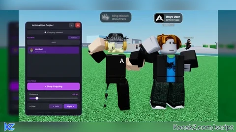 Onyx Animation Copier - Verified script for Universal Script