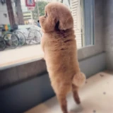 Pvt_