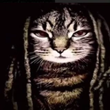 66asa