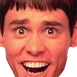 L0SR