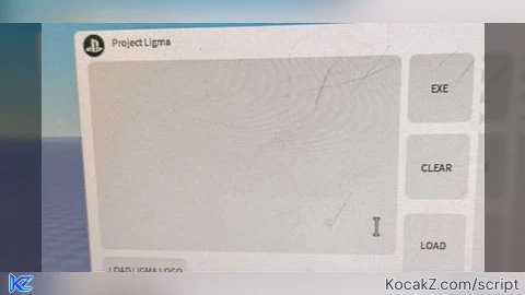 Project Ligma New