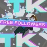 Followers simulator