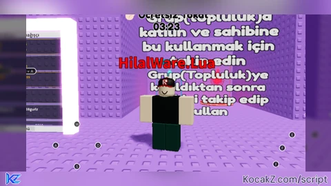 Anti Vip And Anti Join Group By HilalWare Lua - Verified script for Troll Pin Tower 2