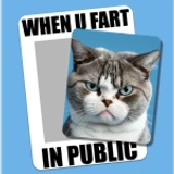Meme Maker 😎