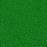 TheStupidScripter