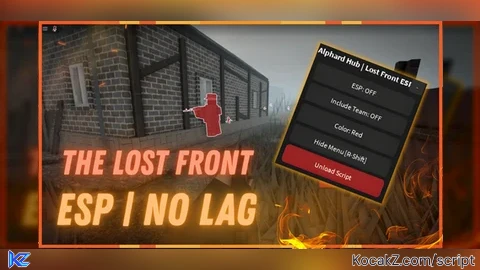 Alphard Hub Simple ESP - Verified script for The Lost Front